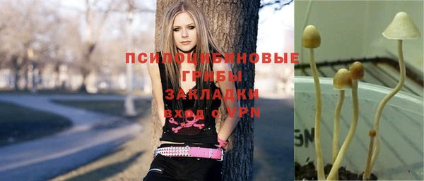 стафф Нязепетровск