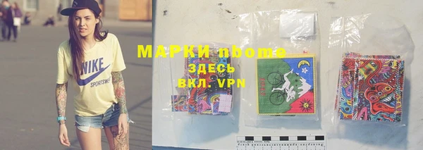 твердый Няндома