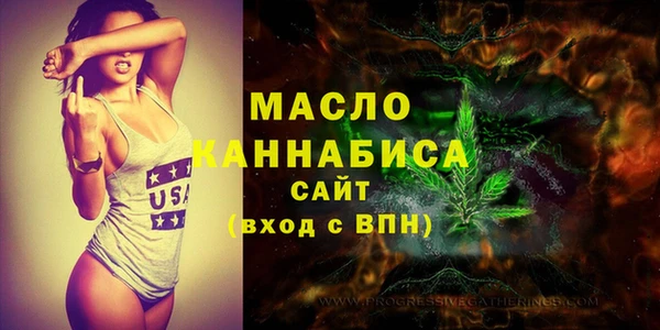 твердый Няндома